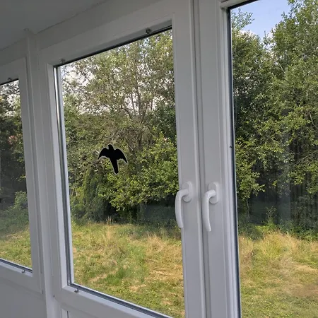 Spacious And Luminous In A Apartment Zusch