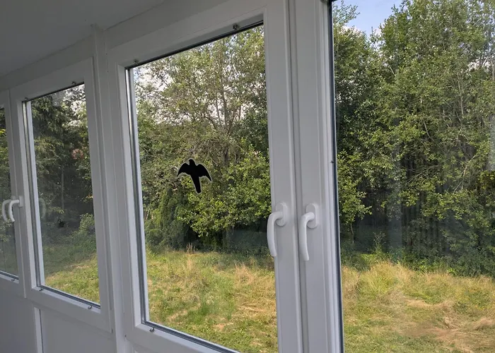 Spacious And Luminous In A Apartament Zusch